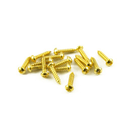 TAILPIECE MOUNT/BASS TUNING MACHINE SCREW GOLD (16)