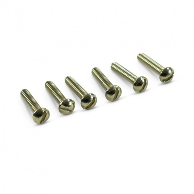 SLOT HEAD BRIDGE PU MOUNTING SCREW (1)