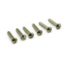 SLOT HEAD BRIDGE PU MOUNTING SCREW (1)