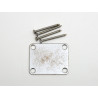 Relic F-Type Neck Plate / Aged Chrome