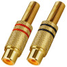 Phonostik hun (2 stk)