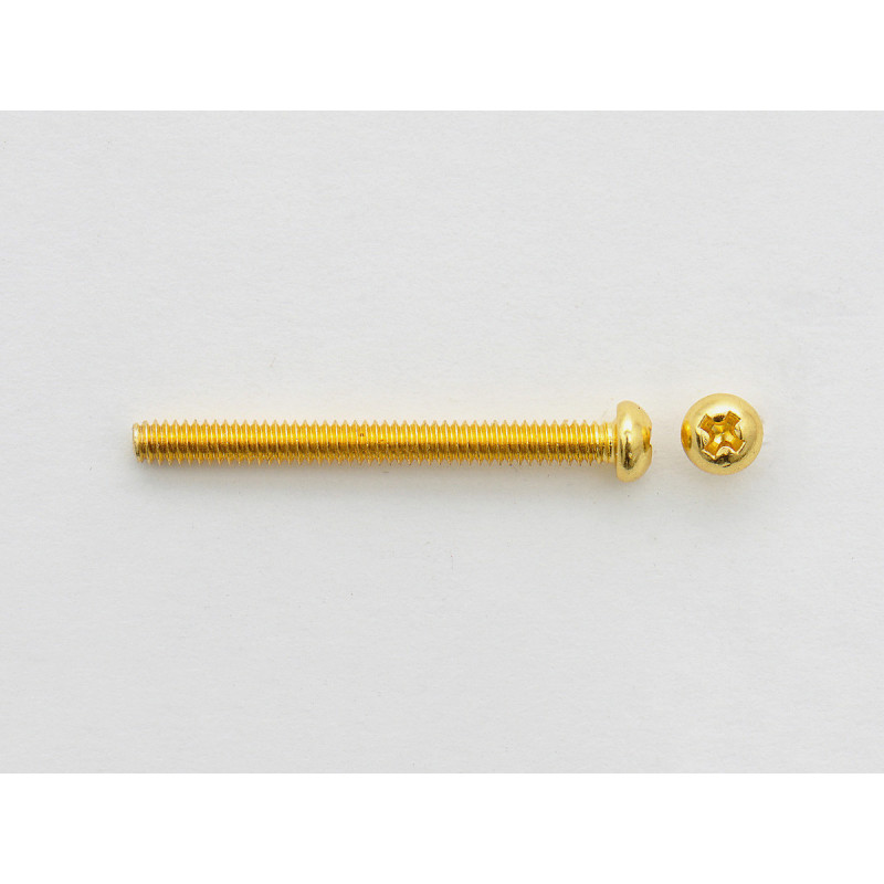 HUMBUCKER PICKUP HEIGHT GOLD ( 6 )