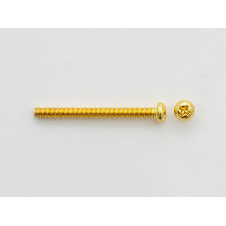 HUMBUCKER PICKUP HEIGHT GOLD ( 6 )