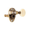 Acoustic 3+3 tuners DJ526AB-PSI Antique Brass. White button.
