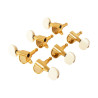 Acoustic Tuner 3+3 Gold Ivoroid Button