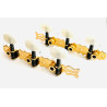 Classic Tuner 3+3 Gold White Knobs