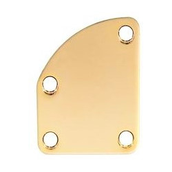 Contoured neck mounting plate Gold