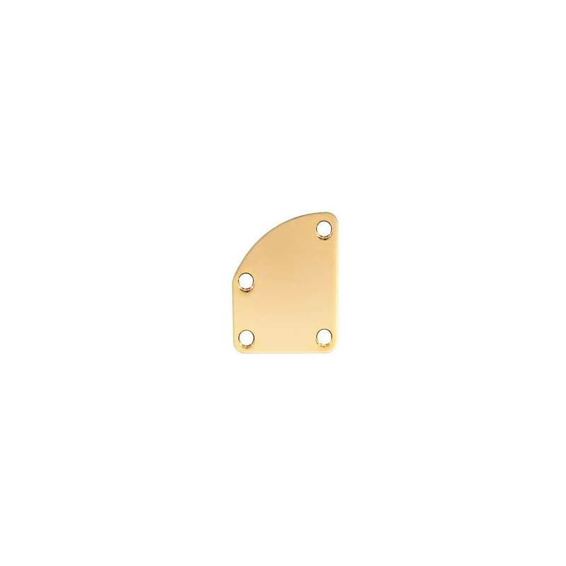 Contoured neck mounting plate Gold