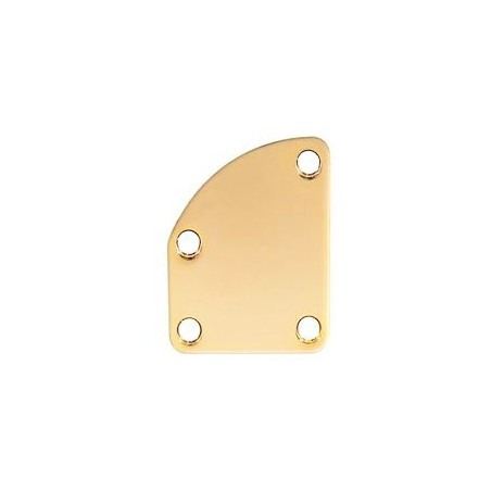 Contoured neck mounting plate Gold