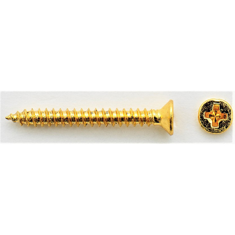 Humbucker Mounting Screws / Long, Gold