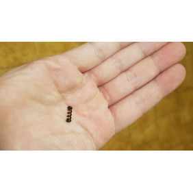 FENDER® TREMOLO ARM SPRING