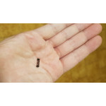 FENDER® TREMOLO ARM SPRING