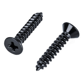 1 set of 2 top mounting screws M2.9 x 16 for locking nuts 6+7-strings

2 x mounting screws: 2.9 x 16 mm