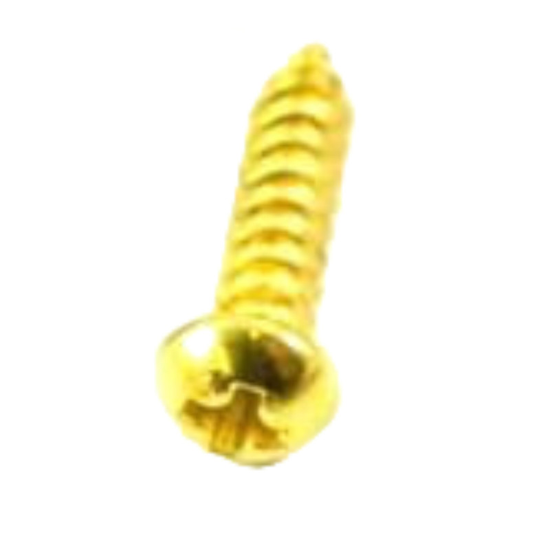 TAILPIECE MOUNT/BASS TUNING MACHINE SCREW GOLD  (1.stk)