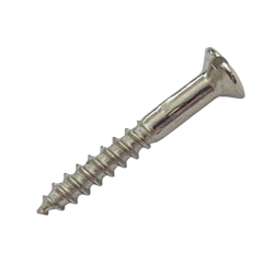 SLOT HEAD BRIDGE MOUNT/STRAP BUTTON SCREW (1.stk)