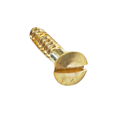 SLOT HEAD STRAT® JACKPLATE SCREW MESSING - VINTAGE (1stk.)