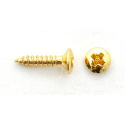 Humbucker Mounting Screws / Short, Gold (1.stk)