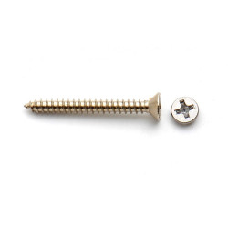 3,5 x 32 mm Bridge Mounting Screw Rustfri (1.stk)