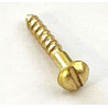 1,6x10 -SLOT HEAD BRASS TRUS ROD SCREW  (1.stk)
