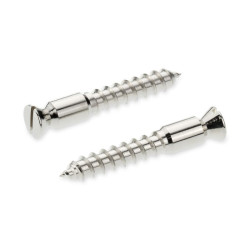 FLOYD ROSE® SCHALLER - BRIDGE MOUNTING WOOD SCREW (2.stk)