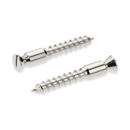 FLOYD ROSE® SCHALLER - BRIDGE MOUNTING WOOD SCREW (2.stk)
