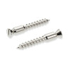 FLOYD ROSE® SCHALLER - BRIDGE MOUNTING WOOD SCREW (2.stk)