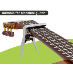 Classic guitar Aluminium