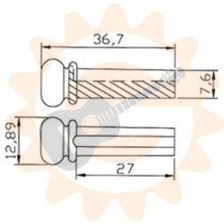 Bass bridge pins, plastic ivory with black dot