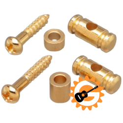 Gotoh RG15 & RG30 string retainer set gold